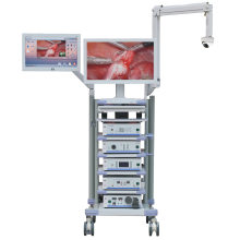 Factory Price Hospital Clinical Surgical Medical Endoscope Trolley Cart/Tower